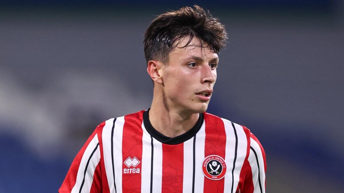Sheffield United and Bosnia defender Anel Ahmedhodzic